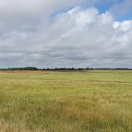 4 Star In * Blåvand